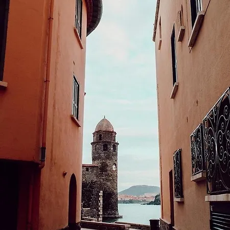 Appartement 300m De La Avec Parking Collioure