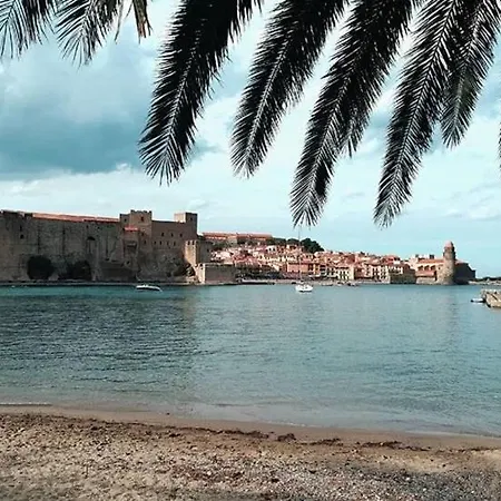 Appartement 300m De La Avec Parking Collioure